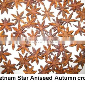 Star Aniseed thumbnail-1