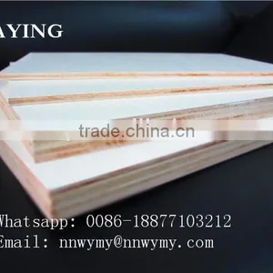 Sea Plywood thumbnail-4