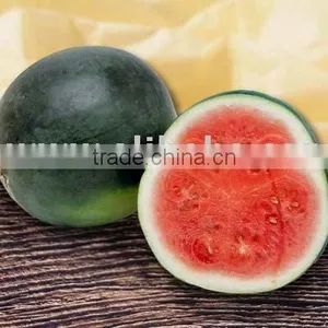 [super Deal] Water Melon thumbnail-1