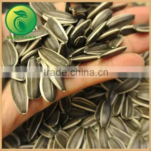 Wholesale Oil Sunflower Seeds Market Price thumbnail-2