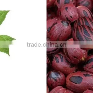 Nutmeg Oleoresin thumbnail-1