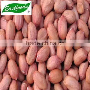 Peanut Kernel thumbnail-6