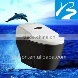 Export Intelligent Sanitary Ware WC thumbnail-1