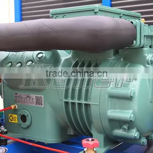 Refrigerated Container Meat Industrial Freezer 0~15(c) With Bizter Compressor thumbnail-2