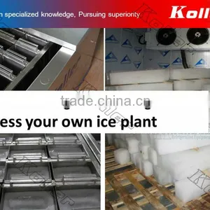 a Simple Ice Block Plant in Container With Cold Room thumbnail-5