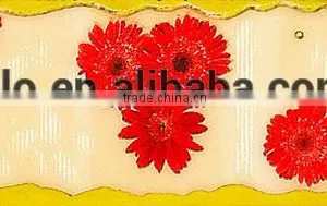 Manufacturer of Gilding Decorative Border Wall Tiles thumbnail-3
