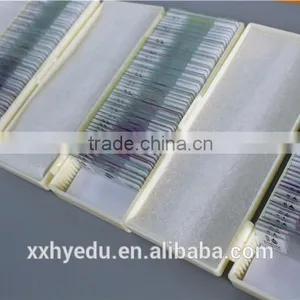 Lab Microscope Prepared Slides , Glass 52kinds Bacterial Prepared Slides,science Prepared Slides thumbnail-3