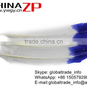 CHINAZP Factory Cheap Wholesale Feather Size From 30cm to 35cm Dyed Blue Half Dipped Bicolourable Turkey Rounds Wing Feathers thumbnail-3