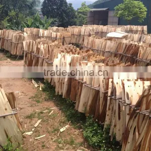 Wood Core Veneer Eucalyptus/acacia From Vietnam thumbnail-1