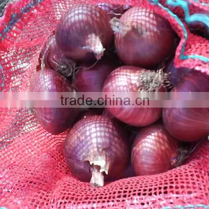 Fresh Red Onion thumbnail-1