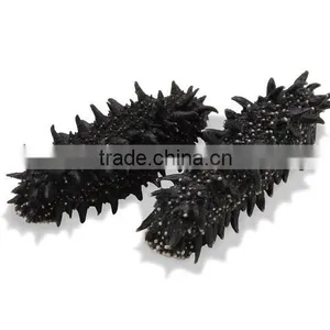 Japanese Dried Sea Cucumber as Hokkaido Marine Products at Reasonable Prices thumbnail-1