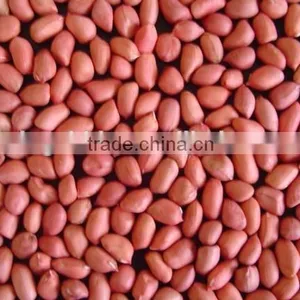 Roasted Peanuts With Skin, Roasted Peanut Kernels, Plain Roasted Peanut Kernels. thumbnail-1