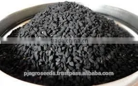 Pure Onion Seeds thumbnail-4