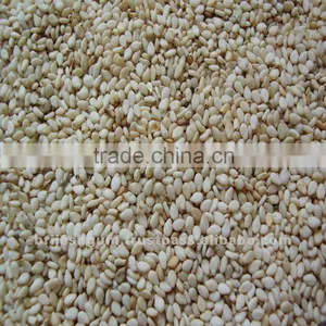 Sesame Seed Buyers thumbnail-1