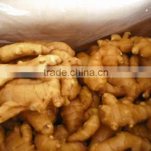 Fresh Big Ginger 300g and up thumbnail-1