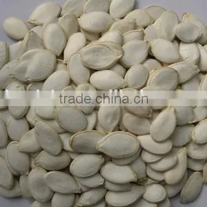Snow White Pumpkin Seeds in Shell thumbnail-3