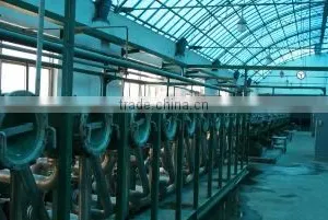 Qingyuan Foodstuff Co., Ltd. company overview - view 3 thumbnail