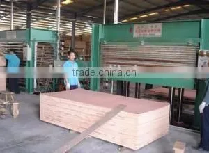 Film Faced Plywood Vietnam/Plywood Manufactuter in Vietnam/Vietnam Plywood With Chinese Glue thumbnail-2