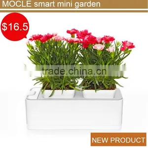 Heart Shaped Acrylic Flower Vase thumbnail-1