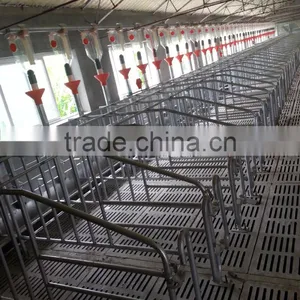 ^Fetation Stall for Sows With Good Quality thumbnail-1