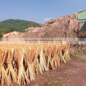 Providing Wooden Broom Stick With Best Price Only From KEGO ( Contact@kego.com.vn) thumbnail-1