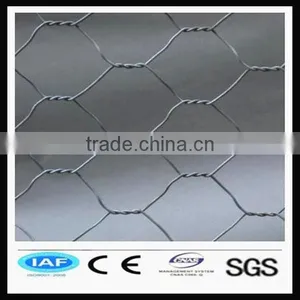 Hexagonal Poultry Wire Netting thumbnail-1