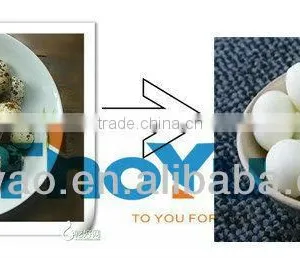 Thoyu Brand Best Selling Quail Egg Shell Remove Machine thumbnail-1