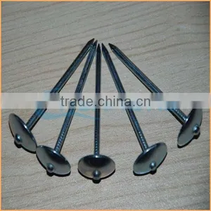 Top Quality Galvanized Umbrella Roofing Nails to Tanzania Trusted Chuanghe Suppliers From Com thumbnail-6