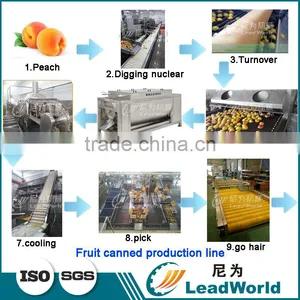 Vegetable Fruit Canned Food Canning Production Line thumbnail-1