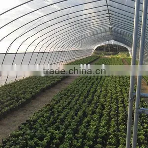 Best Quality Flower Greenhouse Film thumbnail-1