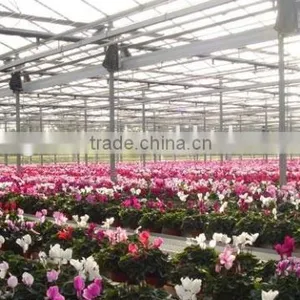 Flower Greenhouse thumbnail-2