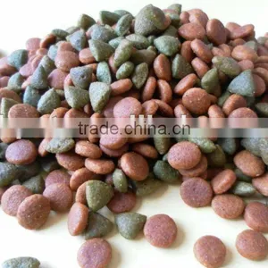 Kitten Food Dry Cat Food thumbnail-1