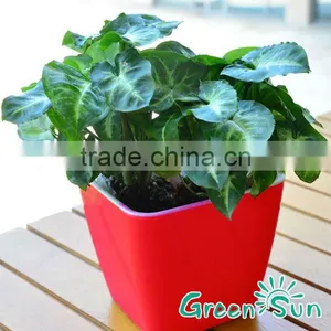 Hydroponic Systems Flower Pots,plant Pots,self-watering Planter thumbnail-1