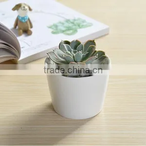 Indoor Mini Ceramic Decor White Plant Pot thumbnail-1