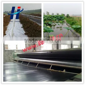 Black Smooth Surface Geomembrane for Pond Liner thumbnail-4