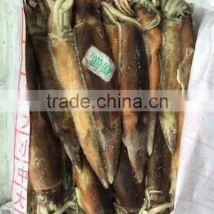 Agrentinus Squid Frozen 400g/600g Whole Round thumbnail-1