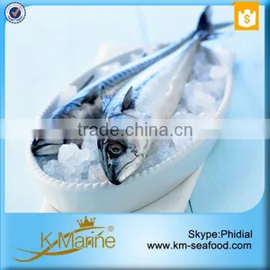 Wholesale Mackerel Frozen Foods thumbnail-6