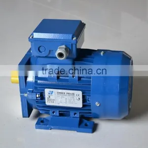 HS 0.75kW Three Phase Square Flange Hydraulic Motor thumbnail-1