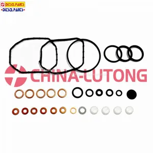 Repair Kit 2 467 010 003 Overhaul Kit 800920 For Auto Engine Parts thumbnail-1