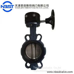 Water Gas Oil Medium Type Worm Gear Flanged Butterfly Valve D371XP-5KQ thumbnail-1