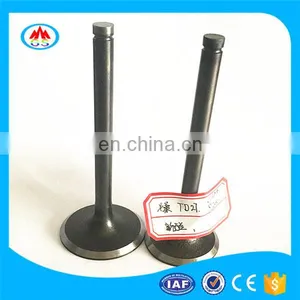 Intake and Exhaust Engine Valves for C200 163fml Motorcycle Engine Parts thumbnail-5