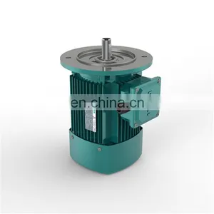 YE2-802-2 3 Phase Motor 220v YE2 Three Phase Asynchronous Speed Motor thumbnail-7