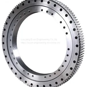 Light Series Non Gear Hot Sale Flange Type Slewing Bearing for Recreational Facilities thumbnail-1