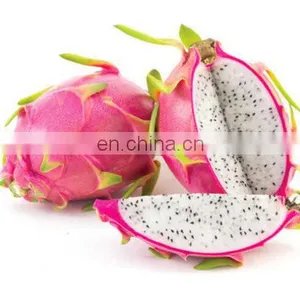 Dragon Fruit in Vietnam is Rich in Nutrients at the Best Price thumbnail-5