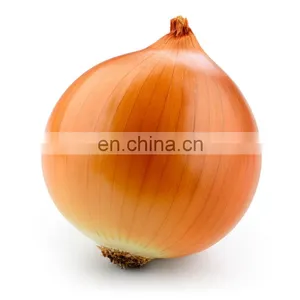FROZEN VEGETABLE ONION HIGH QUALITY FROM VIETNAM IQF GOOD PRICE HOT SELLING NEW CROP thumbnail-4