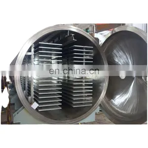 Shanghai Factory Industrial Plant Vacuum Freeze Dryer Equipment Drying Machine in Dried Fruit & Vegetable Processing thumbnail-1
