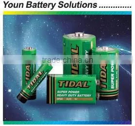 Sunmol Dry Battery thumbnail-1