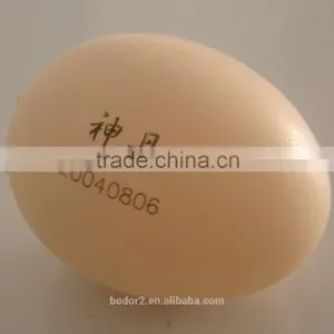 Portable Fiber Laser Marking Machine For Sale thumbnail-6