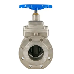HOT SALE Industrial CF8 Gate Valve, Corrosion-Resistant Stainless Steel thumbnail-1
