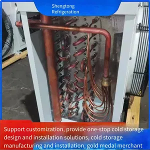 Direct Supply From the Manufacturer. Small Compressor for Refrigerated, Fresh-keeping, Cold Storage and Freezing of Fruits and Vegetables. All-in-one Cold Storage Refrigeration Unit thumbnail-3